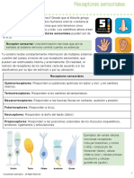 Middle School Spanish Stemscopedia Life Science Sensory Receptors