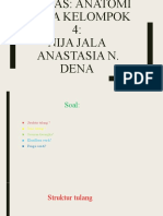 Presentasi Anatomi Nija Jala (Diskusi)