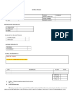 Informe Tecnico Modelo