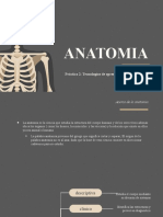 Anatomy Lesson Infographics by Slidesgo