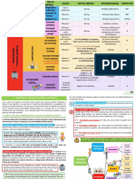 Tipos de Empresas