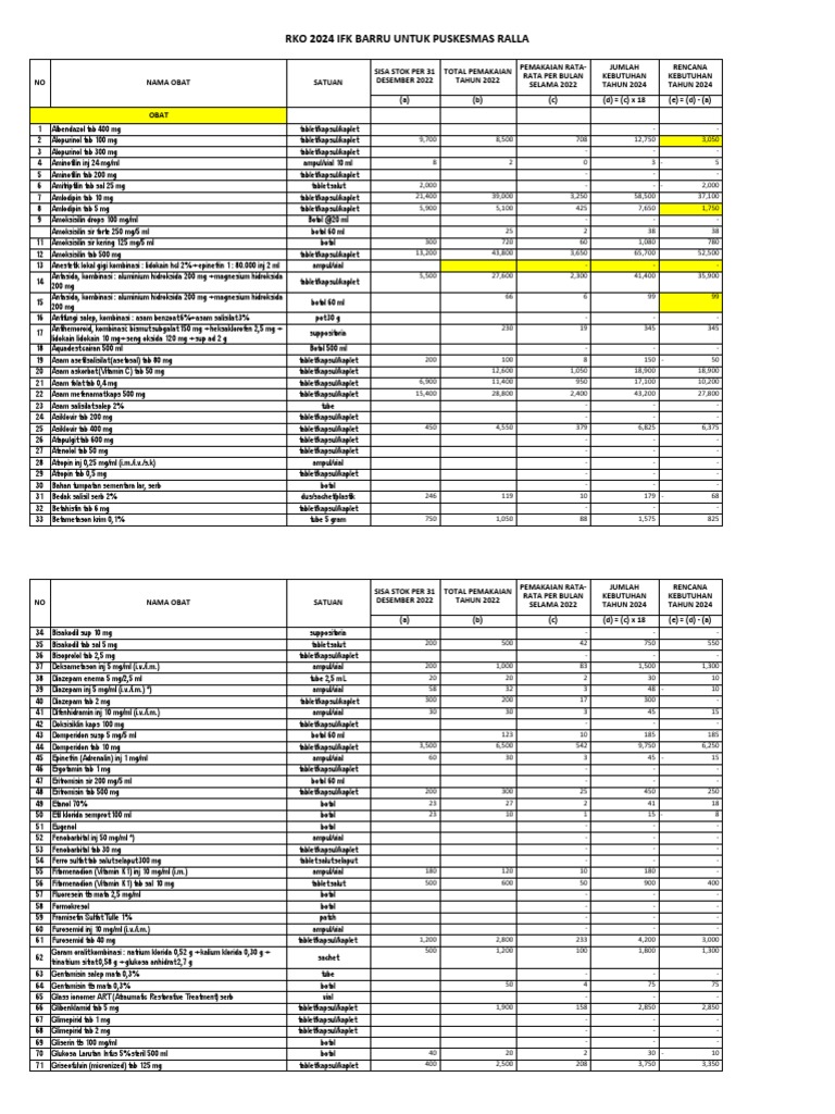 FORMAT RKO 2024 UNTUK PUSKESMAS Ralla | PDF