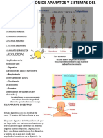 FISIOLOGIA