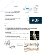 Biomecànica Colze I Canell