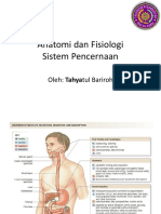 4.Sistem Pencernaan