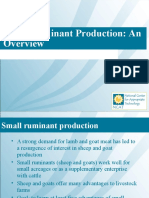 Small Ruminant Production An Overview