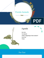 Florida Animals Tropical Presentation