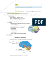 Neuroanatomie 