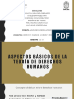 Aspectos Básicos de La Teoría de Derechos Humanos