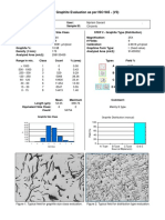 712 CastIron Flakes ISO-945.pdf Ext