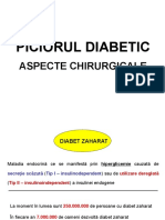 Picior Diabetic