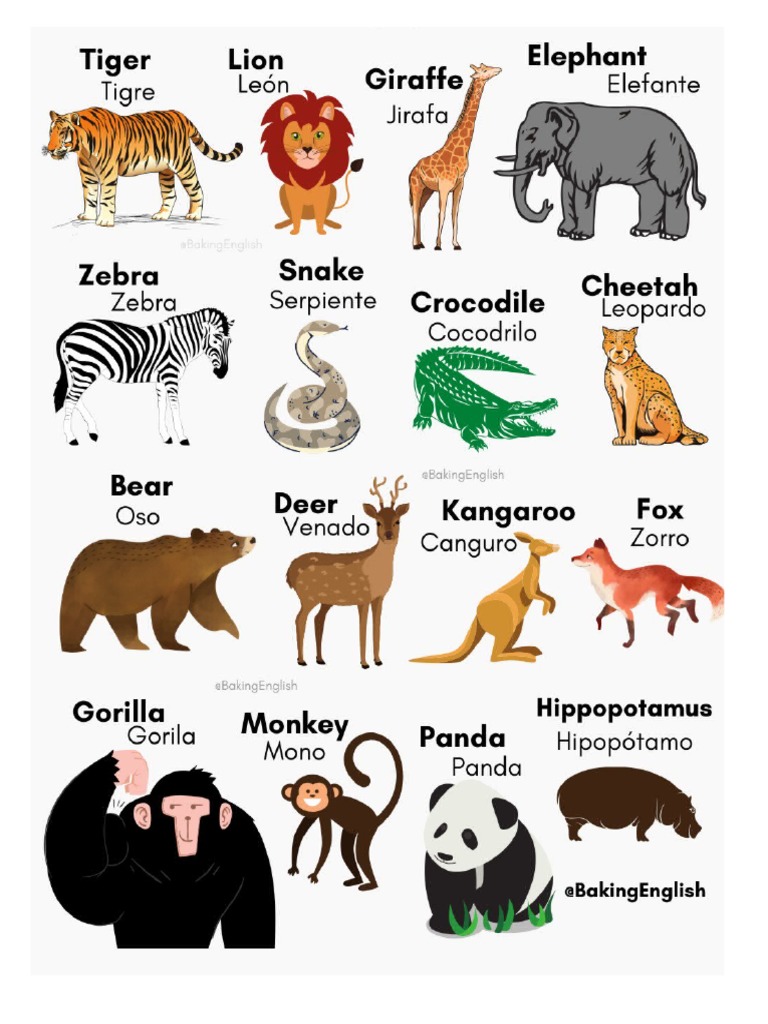 Animales Y Aves En Ingles 25 Pdf