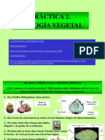 Biología Vegetal Practica 2 2017 2018