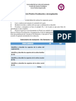 Ejercicio Práctico Focalización y Jerarquización