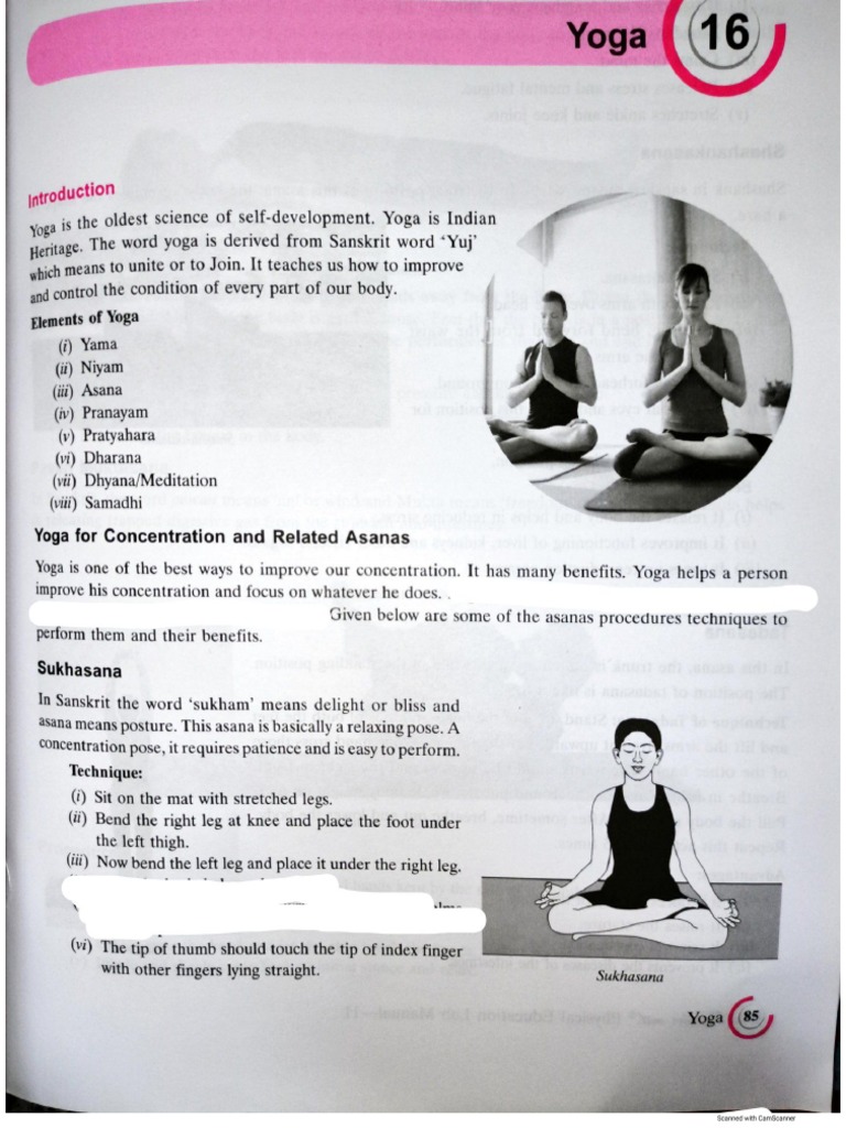 Physical Education | PDF