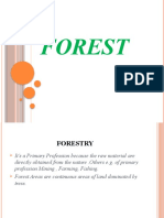 Forests: Types, Importance and Profession