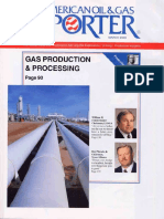 1 Articulo Revista American Oil & Gas