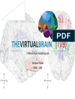 03b The Virtual Brain (TVB-Script)