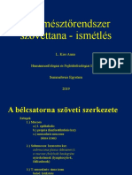 Az emÃ©sztÅ Rendszer Szã Vetanareview Automatikusan Mentett