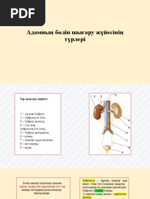 Жалаңаш жұлдыздардың фотосуреттері