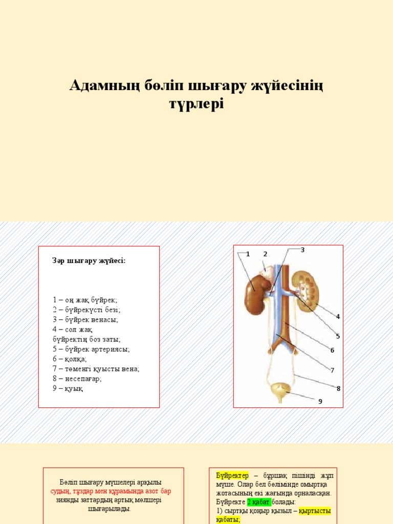 Ұлы мен анасы арасындағы нәзік секс