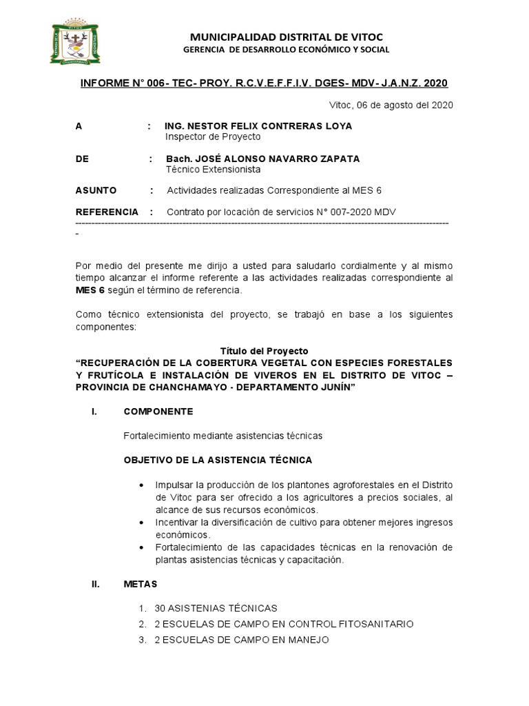 Informe de Actividades del Proyecto Vitoc | PDF | Negocios | Tecnología