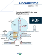 CRISPR Cas