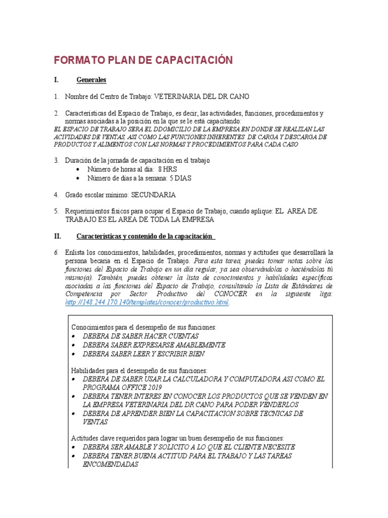 Plan de Capacitación para Jóvenes | PDF