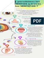 Infografia Metodo Cientifico ciencias ilustrado colores pastel  (2) (1)