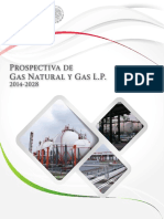 Prospectiva GasNaturalGasLP 2014