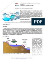 Ríos: transporte del agua en la superficie terrestre