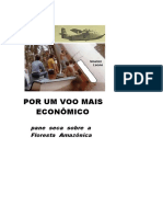 Capa Apresentação e Índice Por Um Voo Mais Econômico