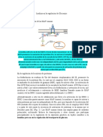 Insulina en La Regulación de Glucemia