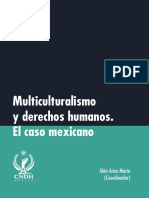 Multiculturalismo y Derechos Humanos