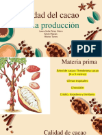 Producción de cacao y calidad del grano en