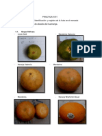 Identificación y Registro de La Fruta en El Mercado