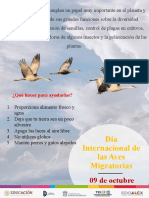 Dia Internacional de Las Aves Migratorias