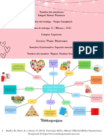 Mapa Conceptual