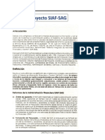 Cap 7. Proyec Siaf-Sag PDF