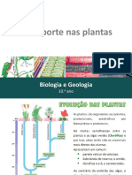 PP35 Transporte Nas Plantas