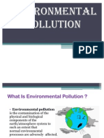 Environmental Pollution