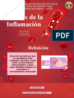 Células de La Inflamación - Grupo 7