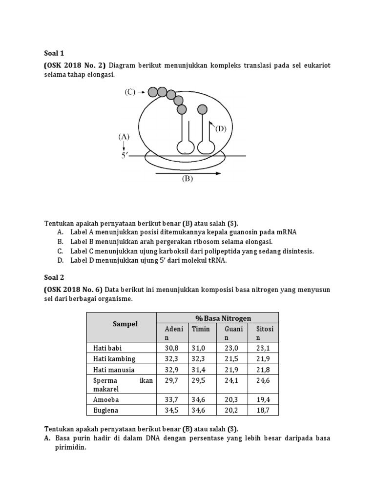 Analisis DNA dan Protein dalam Biologi | PDF | Sains & Matematika