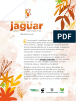 Red de La Vida Jaguar