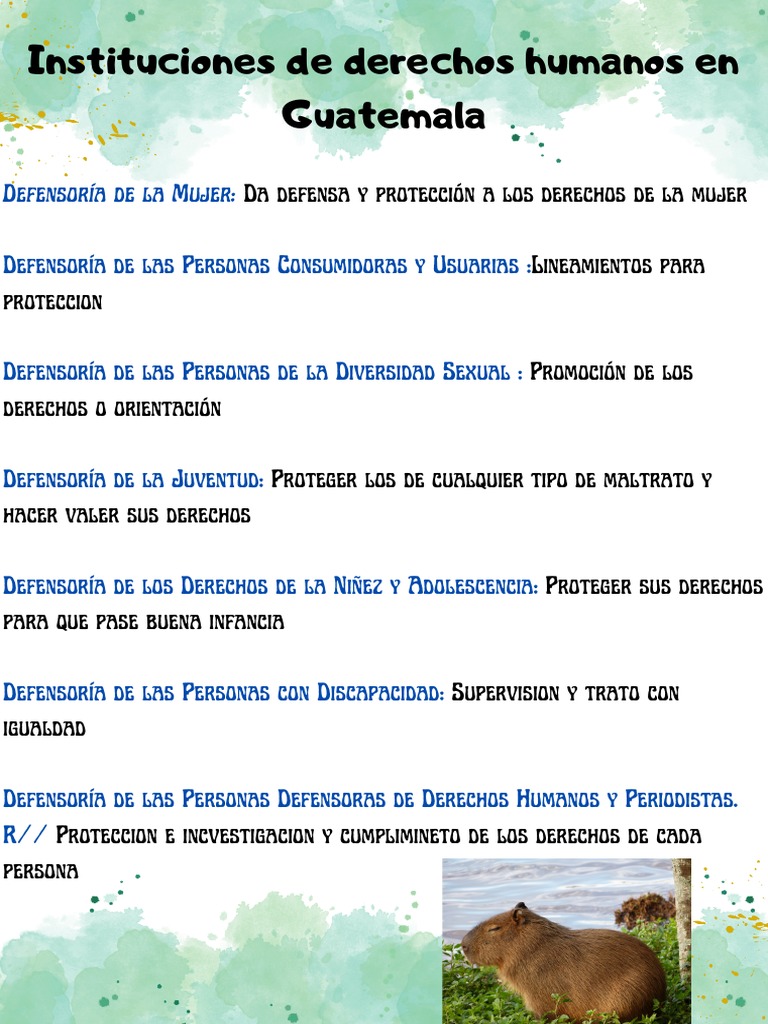 Instituciones de Derechos Humanos en Guatemala | PDF | Estilo de vida