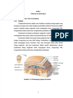 PDF LP Post Op Craniotomi
