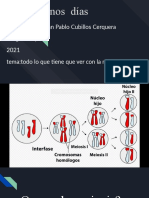 Todo Lo Que Tiene Que Ver Con La Meiosis