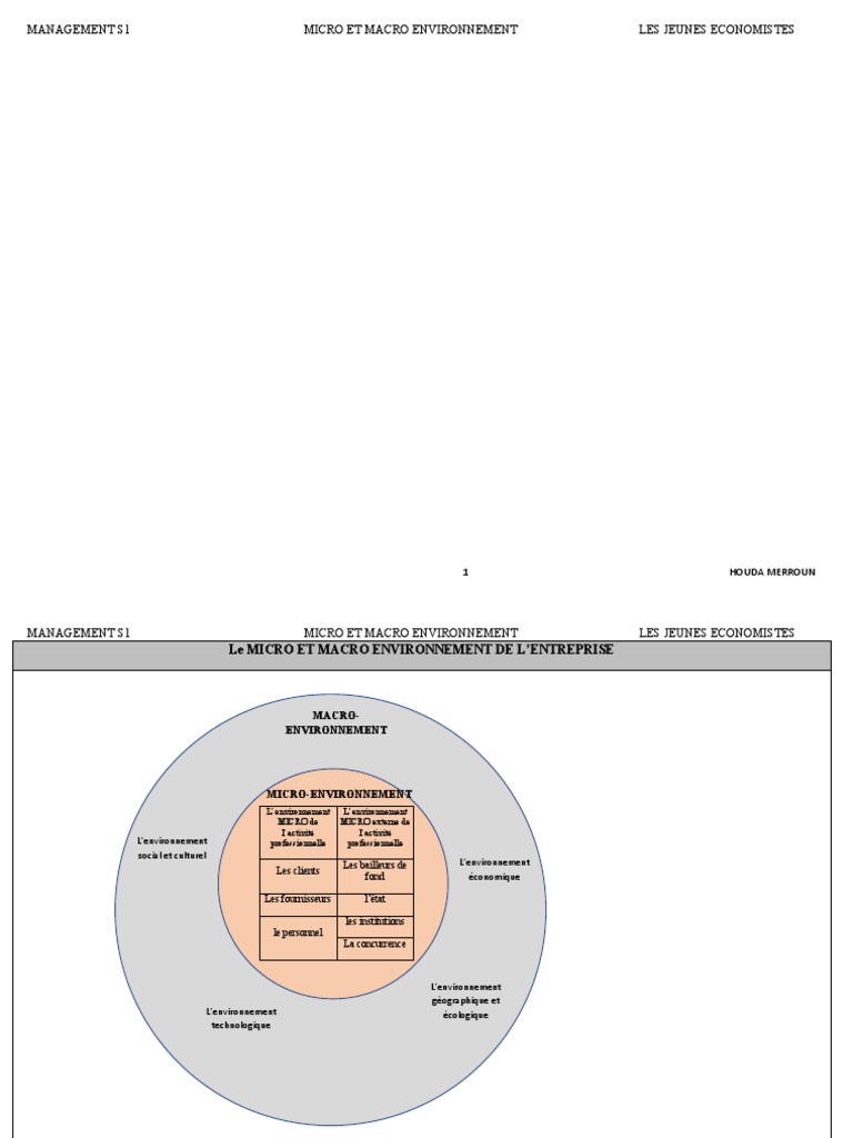 Environnement Micro et Macro de l'Entreprise | PDF | Business | Économie