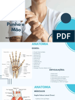 Anatomia e patologias da mão e punho