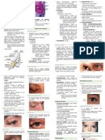 Doencas Das Palpebras 35